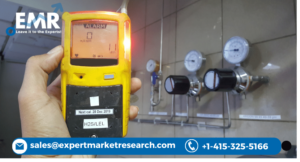 Gas Detectors Market