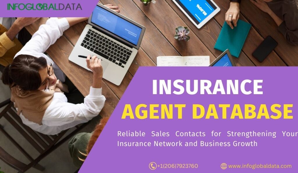 Insurance Agent Database